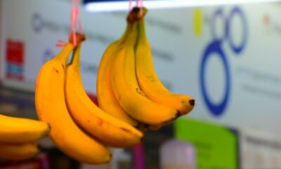 Best Masaco Banana Near Me