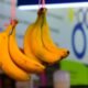 Best Masaco Banana Near Me