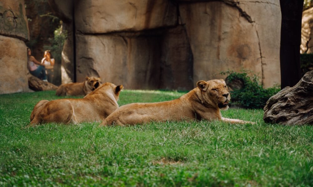 DC Zoological Park