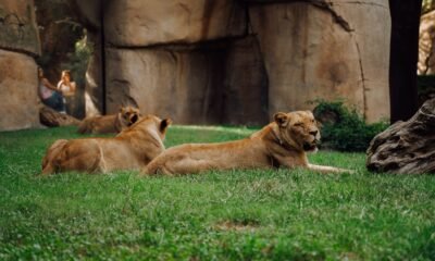 DC Zoological Park