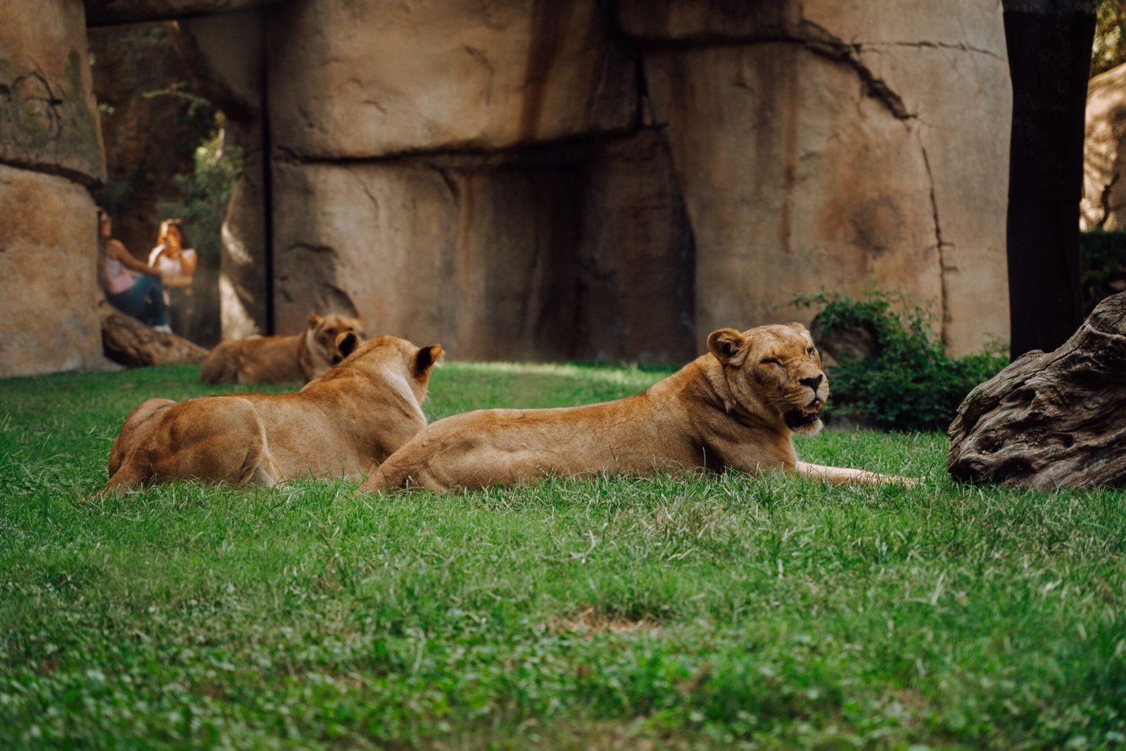 DC Zoological Park